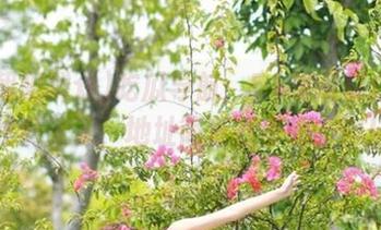 吃瓜导航：51朝阳群众又带我们飞了，地址简直找不到方向！