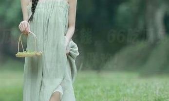 吃瓜不花钱，66吃瓜免费分享丑闻大联欢！